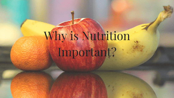why is nutrition important blog-min
