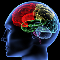 psychology image of brain